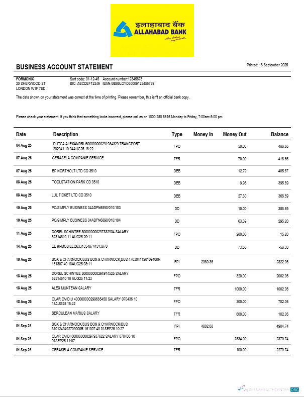 Download Bank Allahabad organization checking account statement Word and PDF format Photoshop template